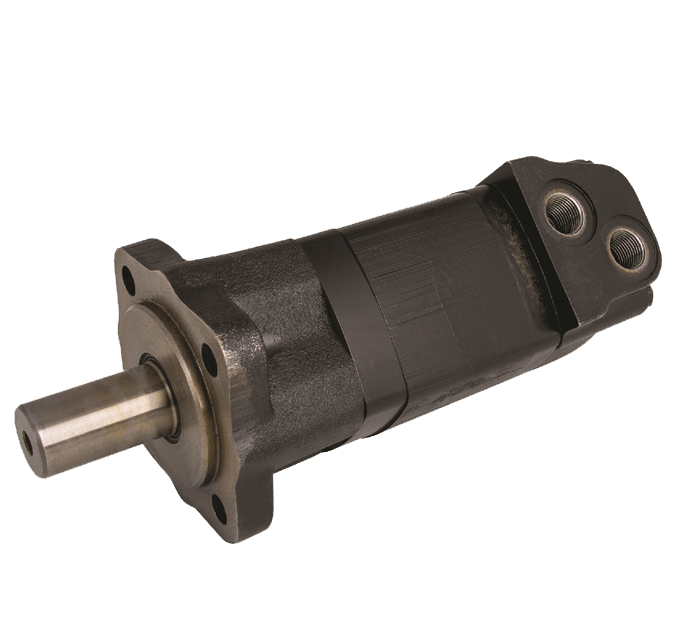hydraulic motor